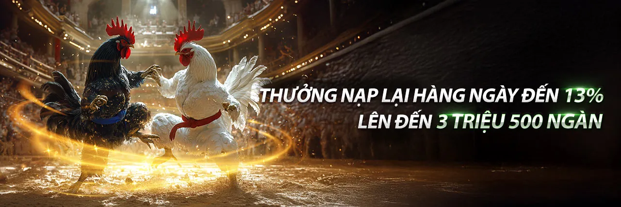 Đá Gà Thomo 6/4 Trực Tiếp